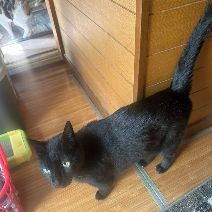 F92b9be8 4501 40b1 8af6 478d56c1c64f 1682899861967