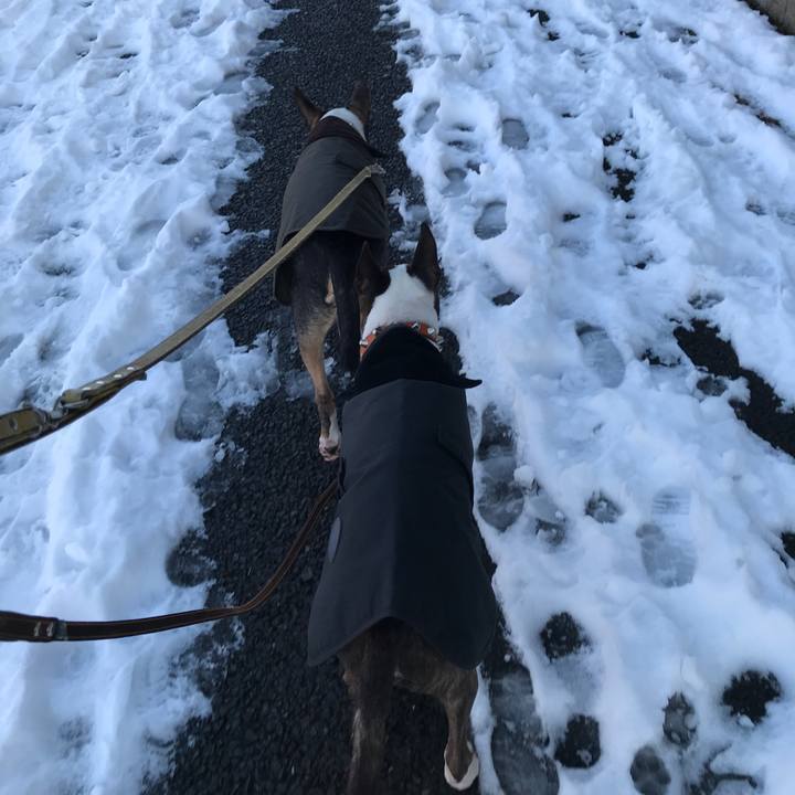 F92bcc06 21a3 4138 9973 c166d2a49649 1516696646111