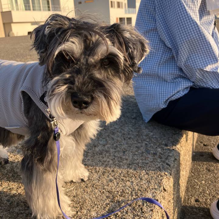 F92be34d b27f 4964 8a65 c168b0a08148 1715475485460