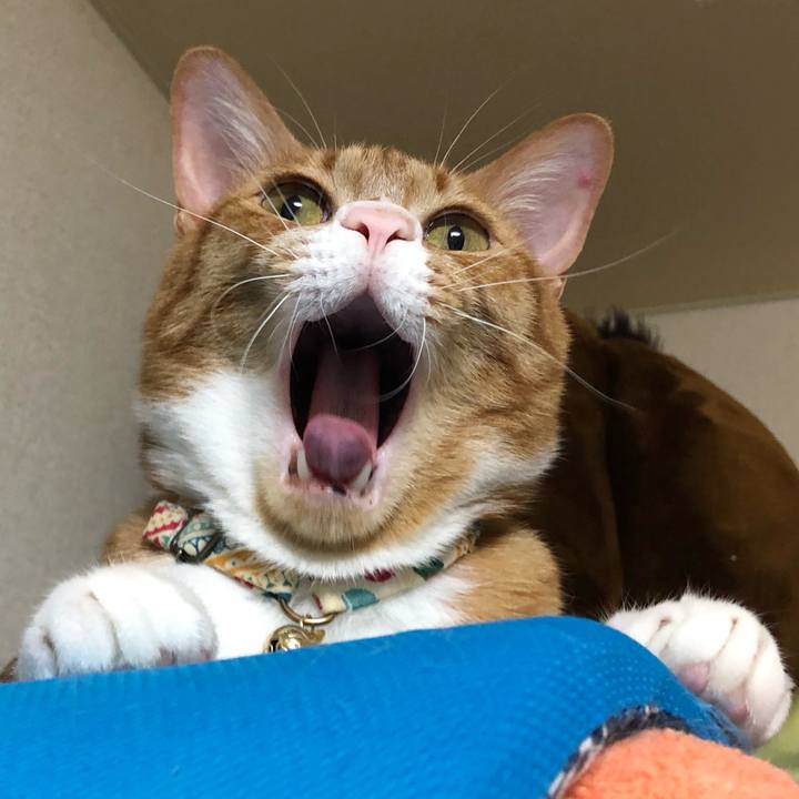 F92c1160 2042 490c aa6c dc9d756397d4 1630097938370