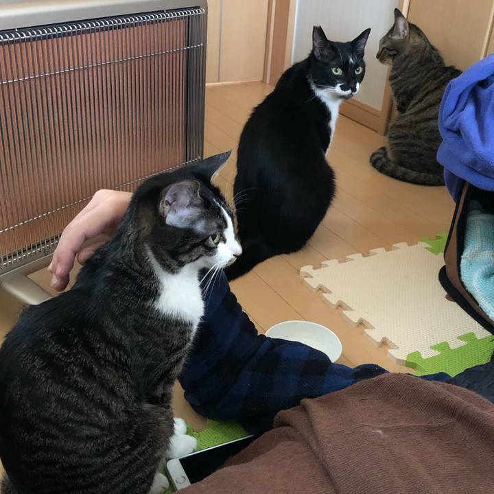 F92c3142 dc6a 4c0a a9c1 8837eefd8039 1547373339319