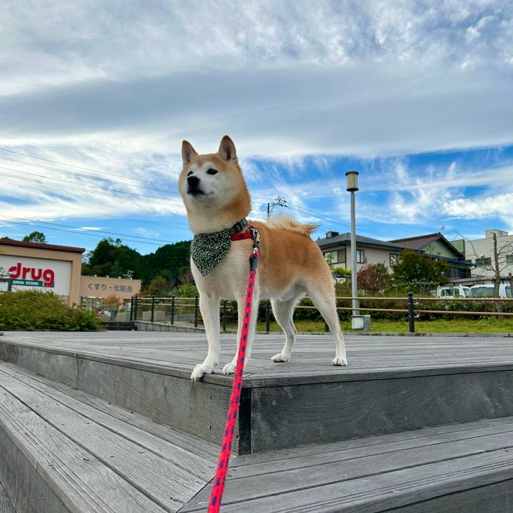 F92c3d27 3b7e 4643 ab88 116aa08d46c5 1730286504292