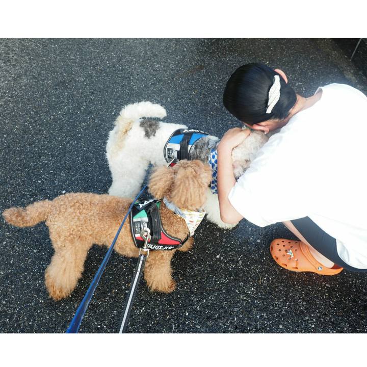 F92c7736 eabd 4aa7 aa1f 253d0ab2b03c 1536771975864