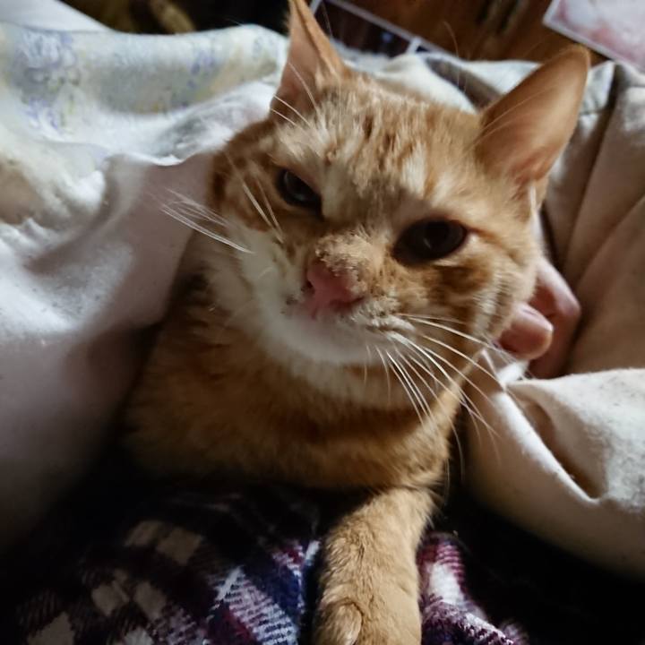 F92c8ac7 2180 4881 87e6 c72884c84f86 1640032430555