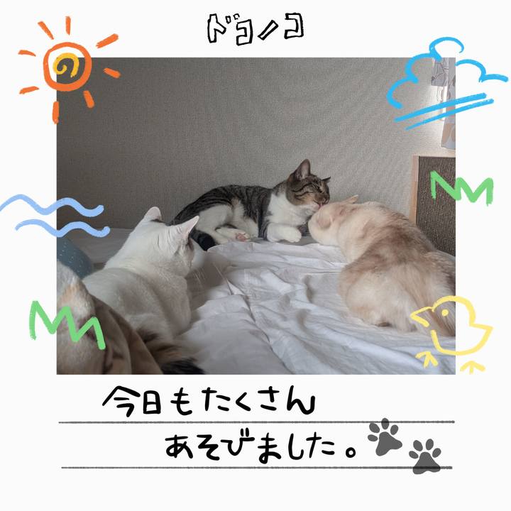 F92c9484 8060 4fb5 b893 766071b62c14 1755181391655