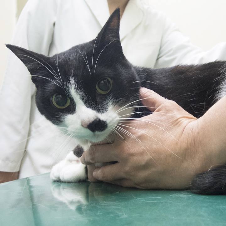 F92cf7f7 a450 4238 aa38 7605d0947abb 1526468611845