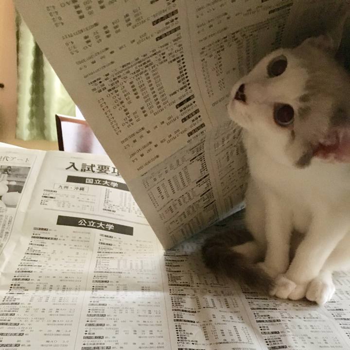 F92d0b34 c03e 42d8 b222 5e9c638fdcf1 1536542939750