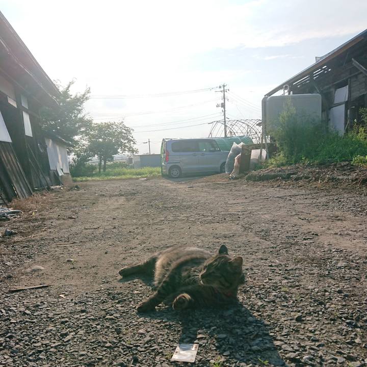 F92d2546 4e2d 4686 a3e9 358fd389adbf 1659824850573