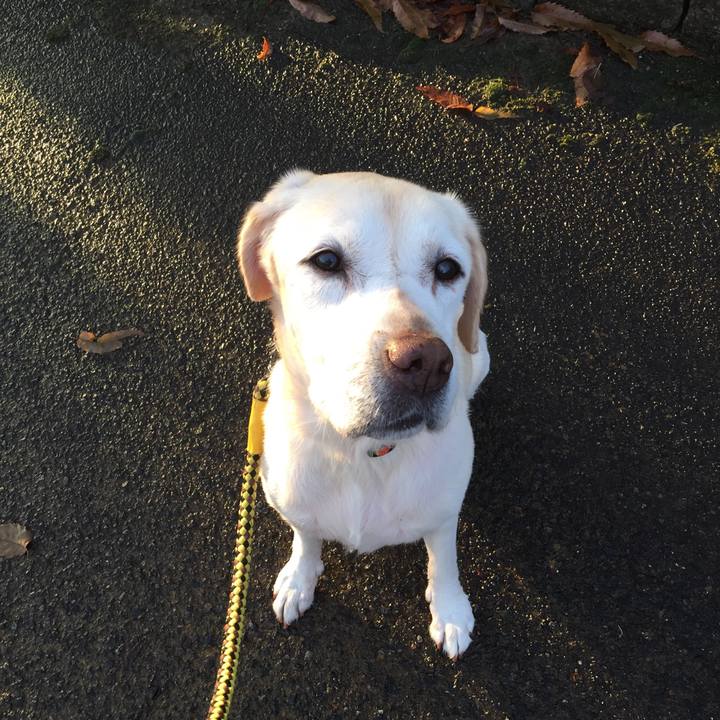 F92d57cc a293 4564 9556 365a109e4d0e 1512862003434