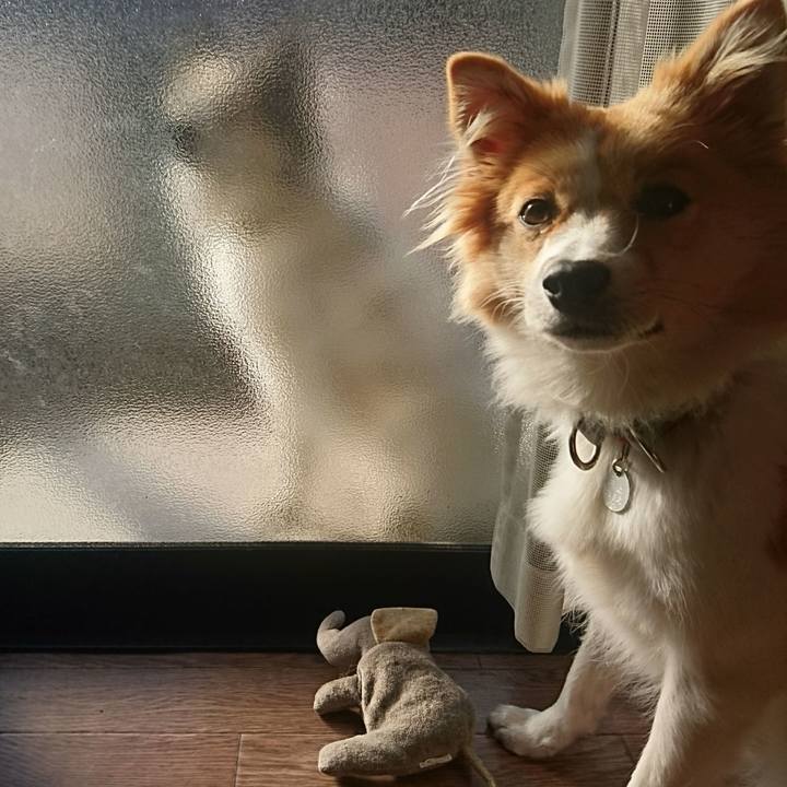 F92d66fc 0040 4419 aadb 1284c6986574 1545139743900