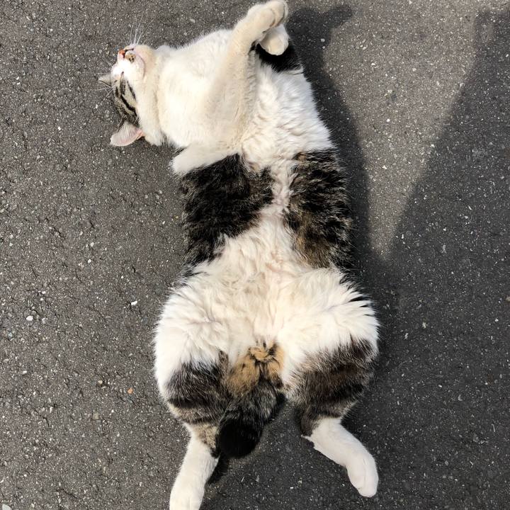 F92d7c49 4d9c 4ae2 b88a 28f075818fdc 1519789335622