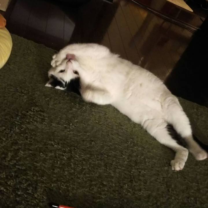 F92d910e e02a 412f 916d 49a436fcae63 1534665850131