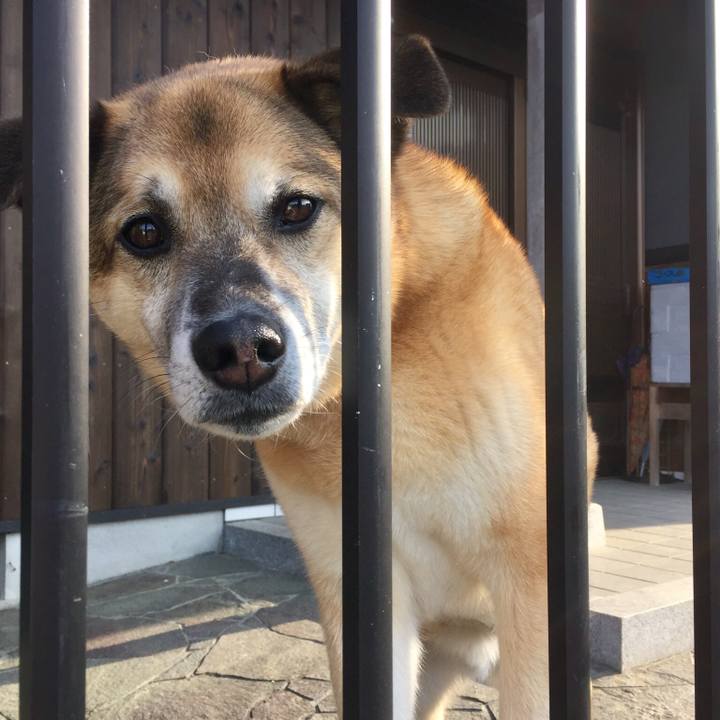 F92d9333 fd04 4975 bcbe 71e5ce9591bd 1557707911909