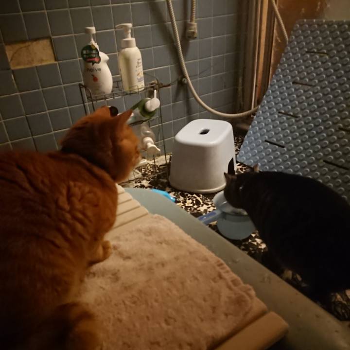 F92d9a8d 0075 4c9e 8a44 d369f18b6863 1640863771116