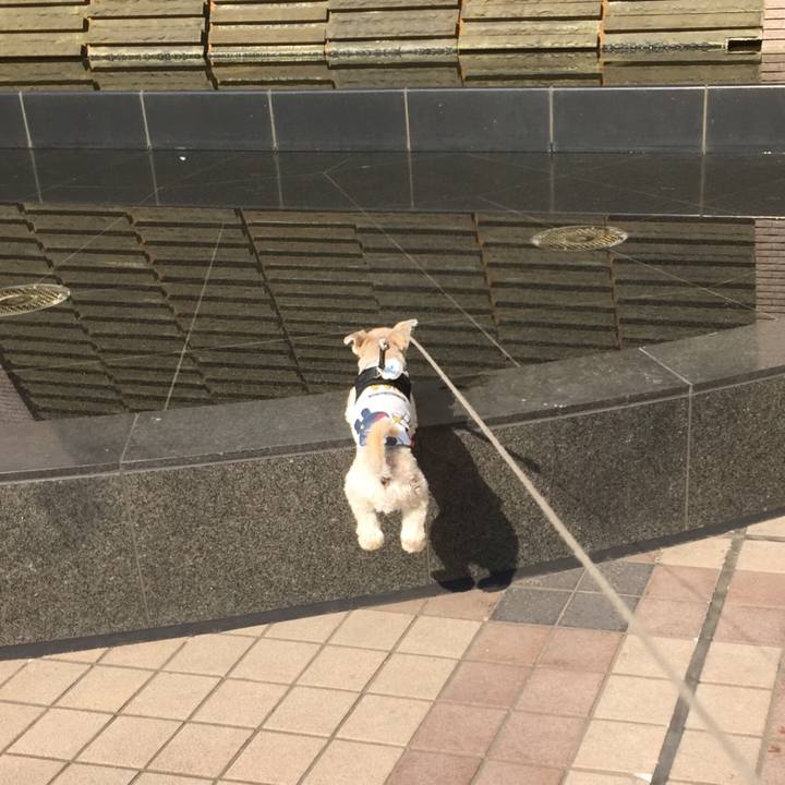 F92dd003 df18 4c31 949c 7111f98da07f 1531700348868