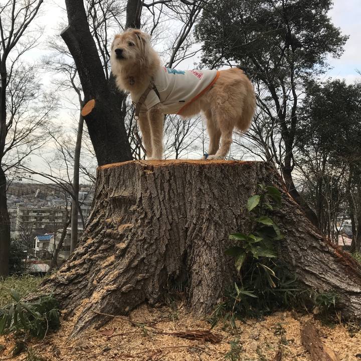 F92e2553 ce45 4411 97f3 9ffd544320d5 1615279514009