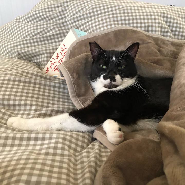 F92e3a3d 5356 4647 9d60 60016a48f043 1606812810125