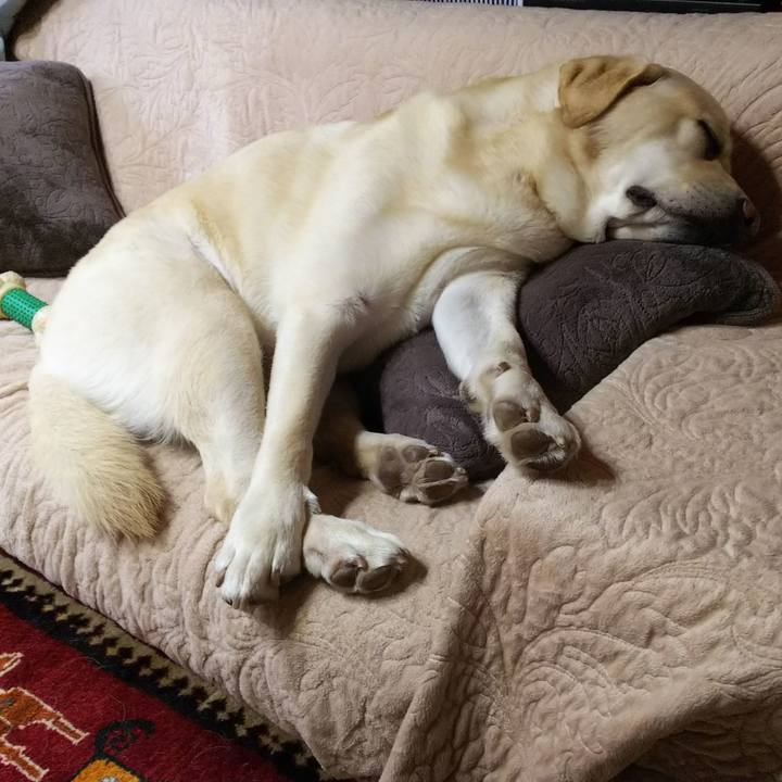 F92e43b3 ee86 4253 ad95 c6057659ddff 1585465154172