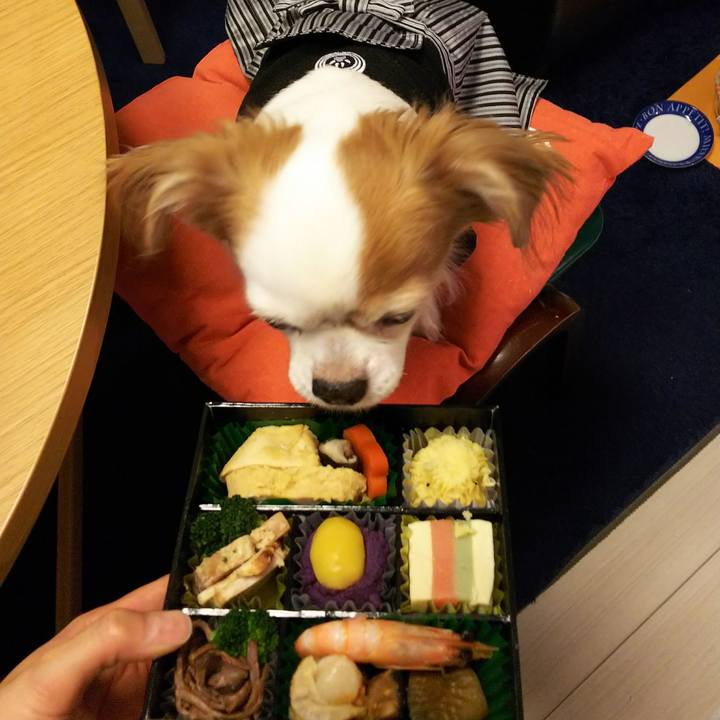 F92e4ee3 ee89 4284 a361 0e290192b37d 1514809071792