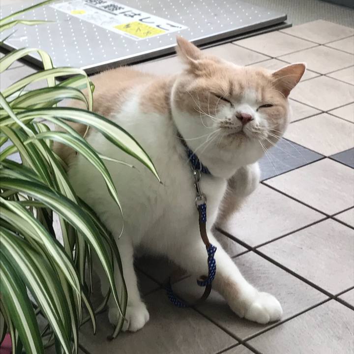 F92e9c05 161b 4c66 995e 90a4eeb1e4f7 1508216625102