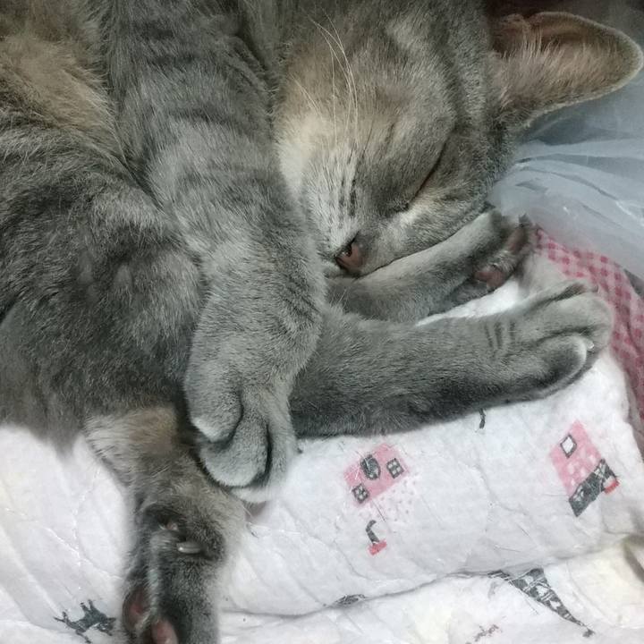 F92ebf8c eb16 4cce a106 b97bf8451acf 1625233455725