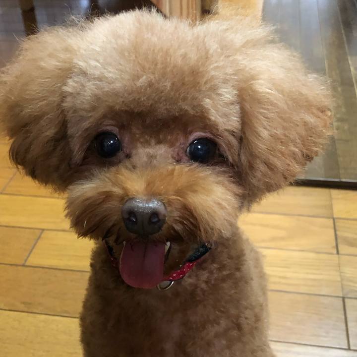 F92ed4bf a721 4b38 a3cd 45b2a994291c 1601174366844