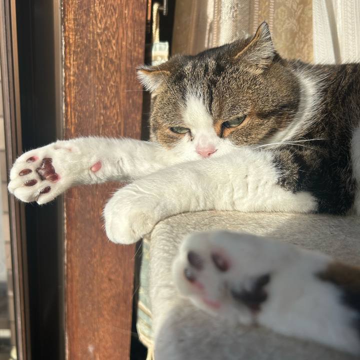 F92efb73 6842 4aaf bf9a bdb328b07170 1764458178644