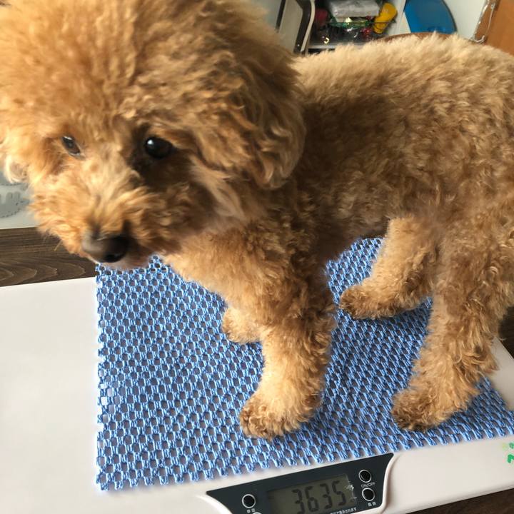 F92f728c 57ca 4ffb a326 bb0073f80afa 1607328678476