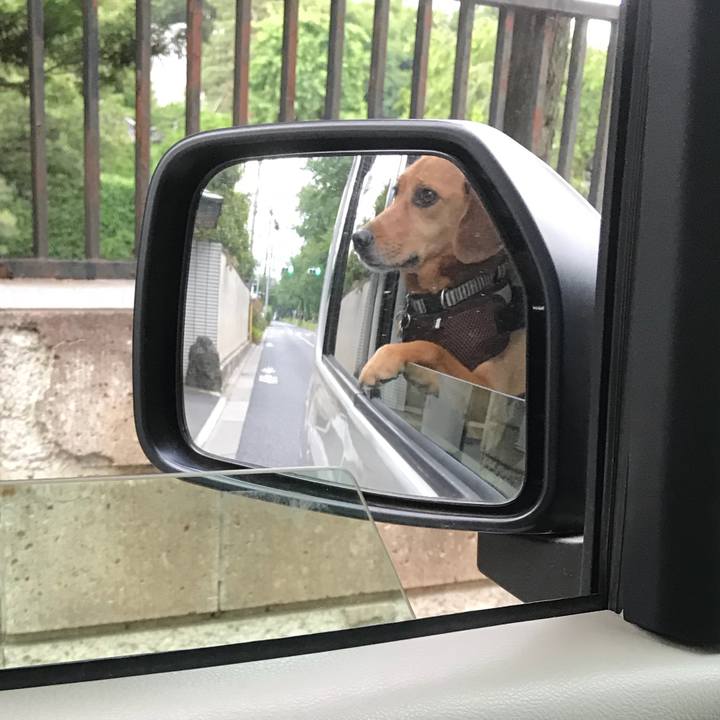 F92f73ff c128 4034 a3a7 f1df77ba9b6a 1528453951494