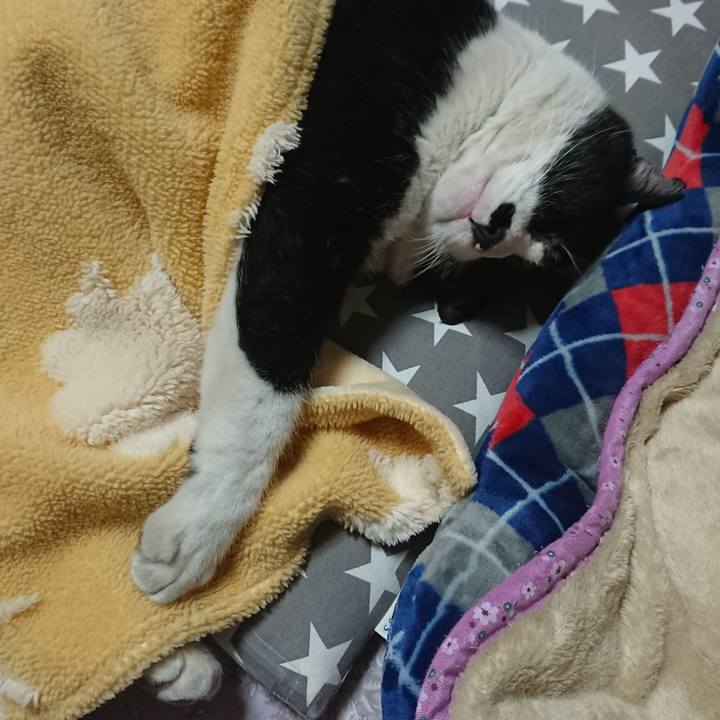 F92fb487 843a 4ccd ac59 b781ba1b803d 1553000852446