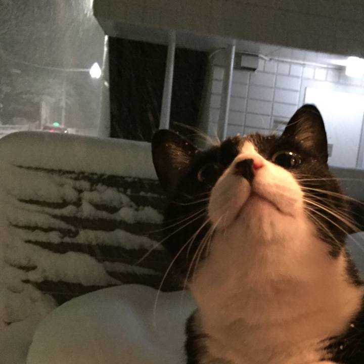 F92fc456 5b5a 4050 a42d cfc673d6ff9b 1516622038058