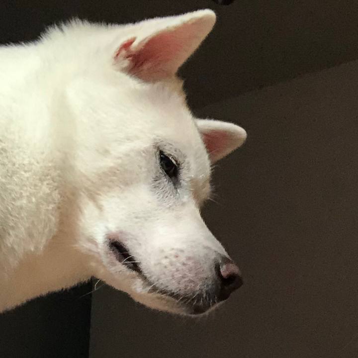 F92fc7e4 3274 479b 8f5e ac184117b879 1596282874456