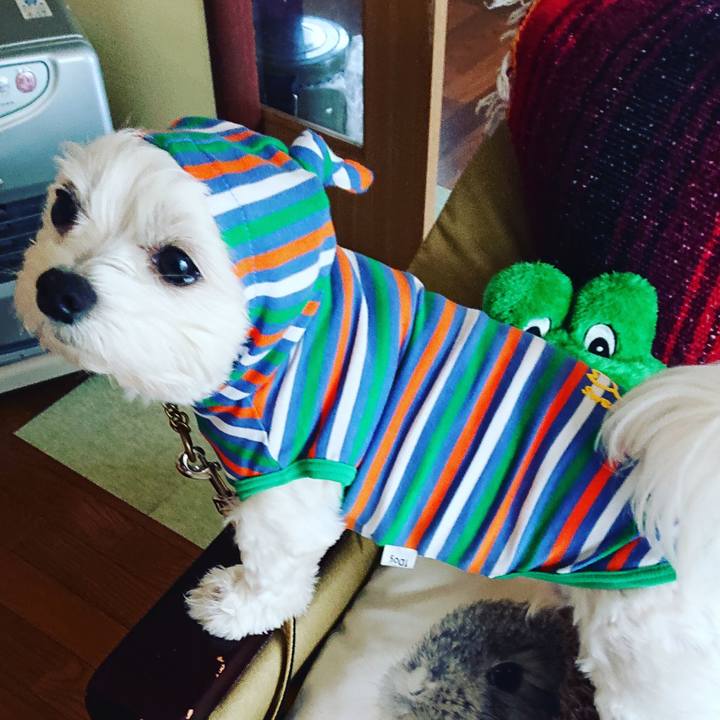 F92ffd64 b98b 4771 b7c7 6c1b1c6dbd32 1553508221116