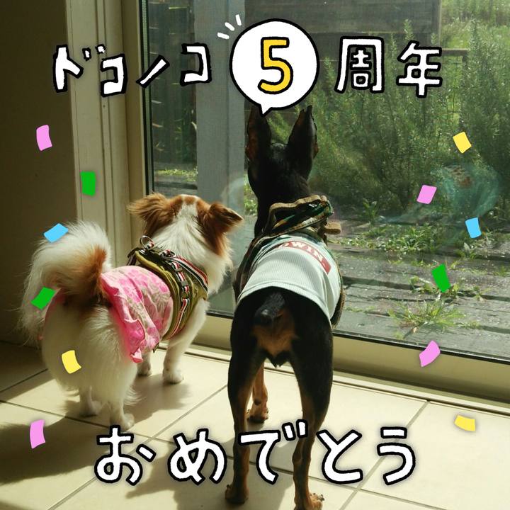 F9301f2a 8d69 4999 86c8 bdb808a8964d 1622891107496