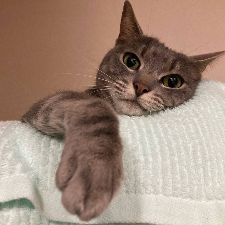 F9303b0d 651a 4955 8c95 612ae0721381 1634985609831