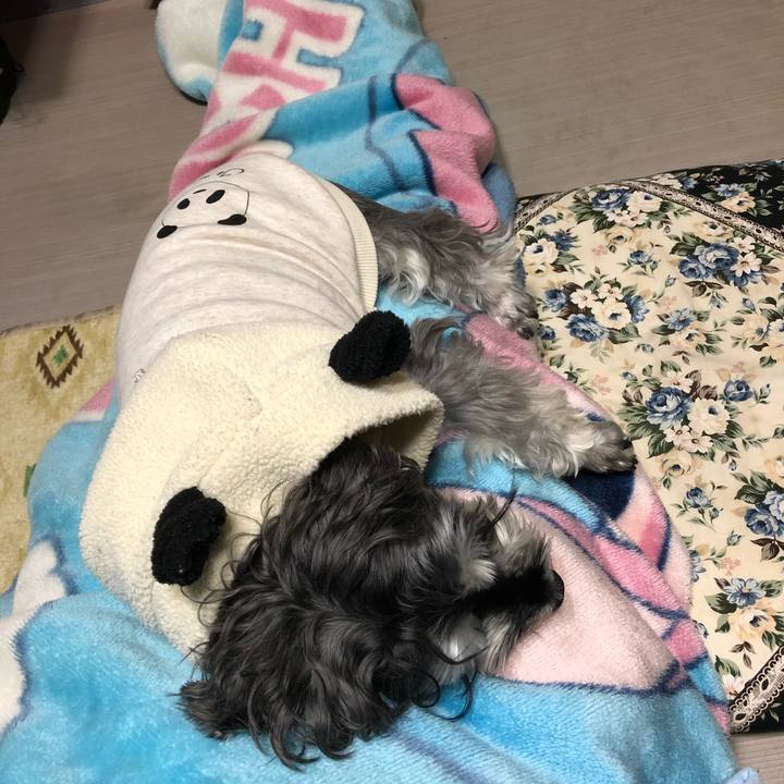 F9303f8c db98 439d b8e5 ba341c1c9daa 1642598283322