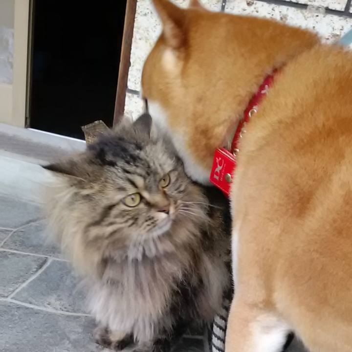 F930b55d 8b9f 409c 8075 6824b205d30d 1649720904148