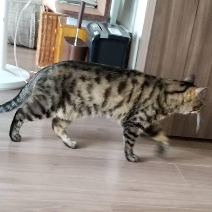 F930e76f 1901 42f7 8d67 9a709152d39a 1558306387229