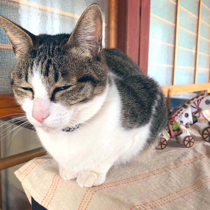 F930ee80 6444 487f bf6d c2d99e7ece1f 1553071518444