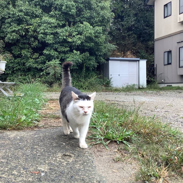 F93100af 23de 441a a8ca 59afb249851a 1570941279580