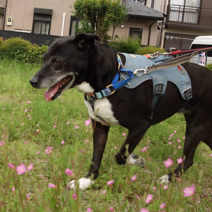 F9312c03 f445 4c3b 88e1 040dc672669b 1747354815041