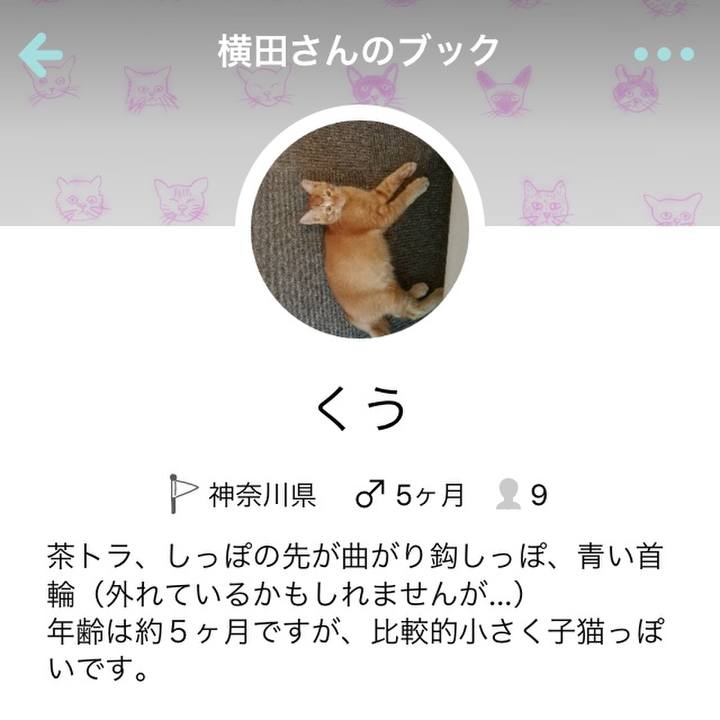 F93189e3 ce16 443a a1d7 6706f5e02b42 1578390013963