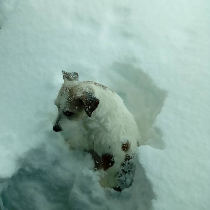 F931f5f3 7a05 4d9b 8958 b0b15d89827d 1610154688762