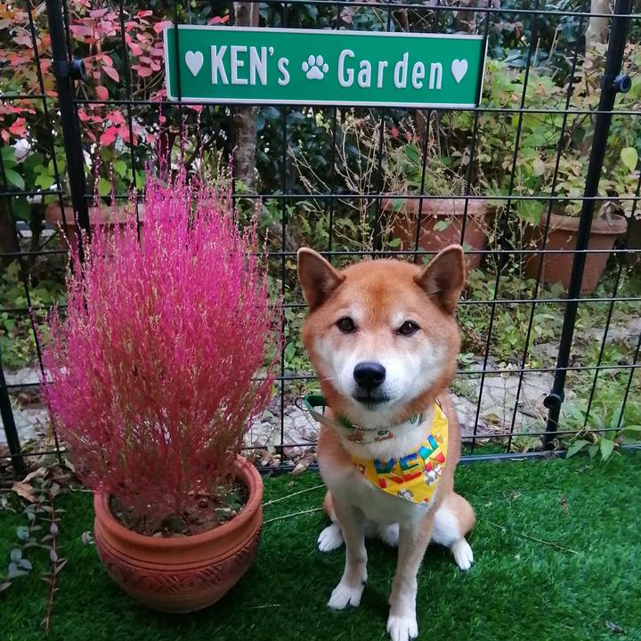 F931f661 3898 491f 9bbf d5cd6afc4d37 1635412405833