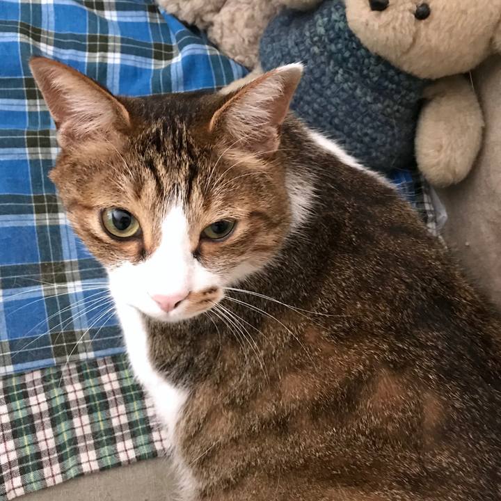 F93216e2 34e5 4f03 96f0 670ba136506e 1535418060382