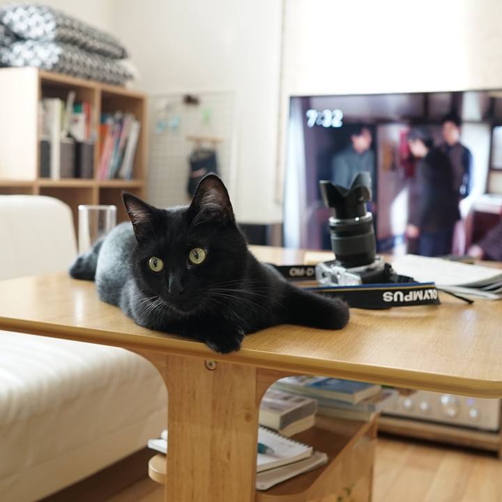 F9322027 64f1 4d80 9389 b46eb666f62b 1561506557988