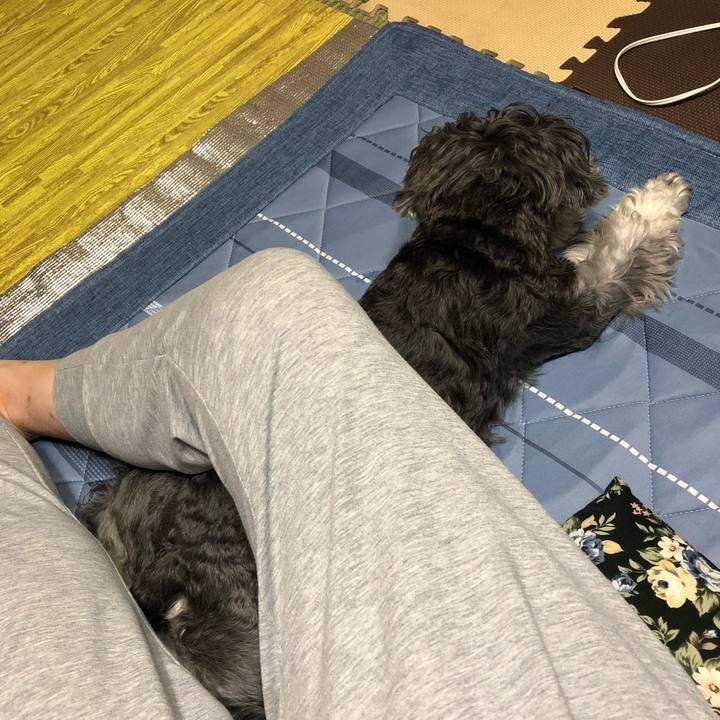 F9322db1 7ab4 44fa bc6d 6c1be0187c3a 1664451131038