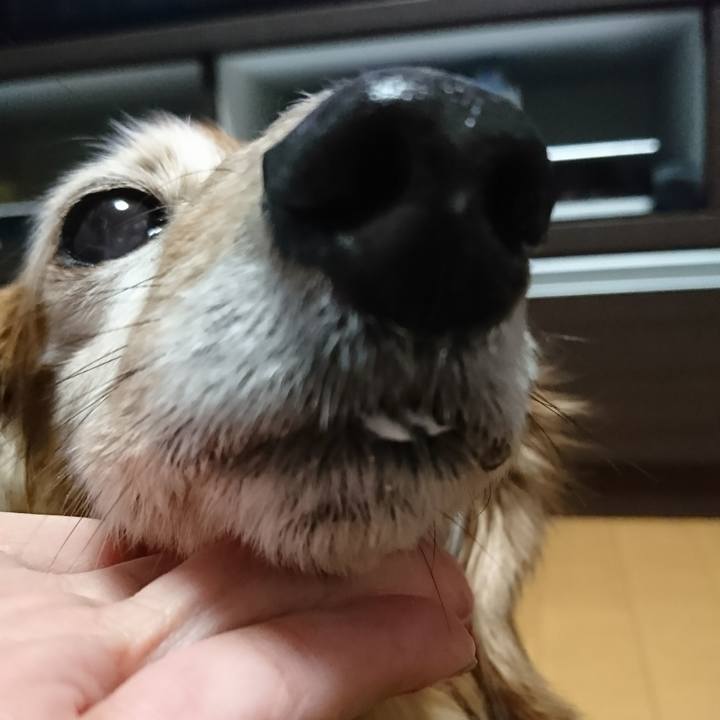 F93233f0 1a6b 445a b548 02430e2c085b 1516612740917