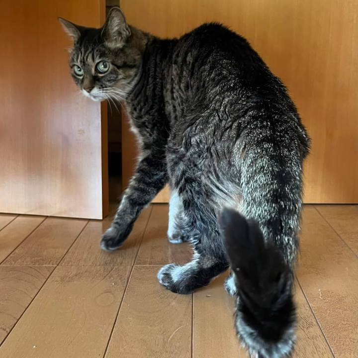 F9325e22 0885 41e1 9d1f ef6c11e72580 1767238492607