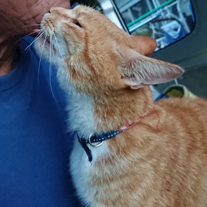 F9329588 d7ad 4ff6 8107 02bb39800bf8 1597695798934